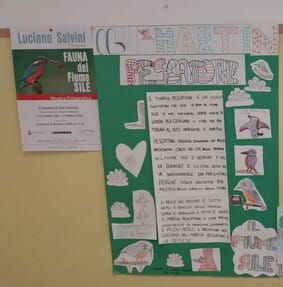 Fase 2. Cartellone realizzato a classi aperte