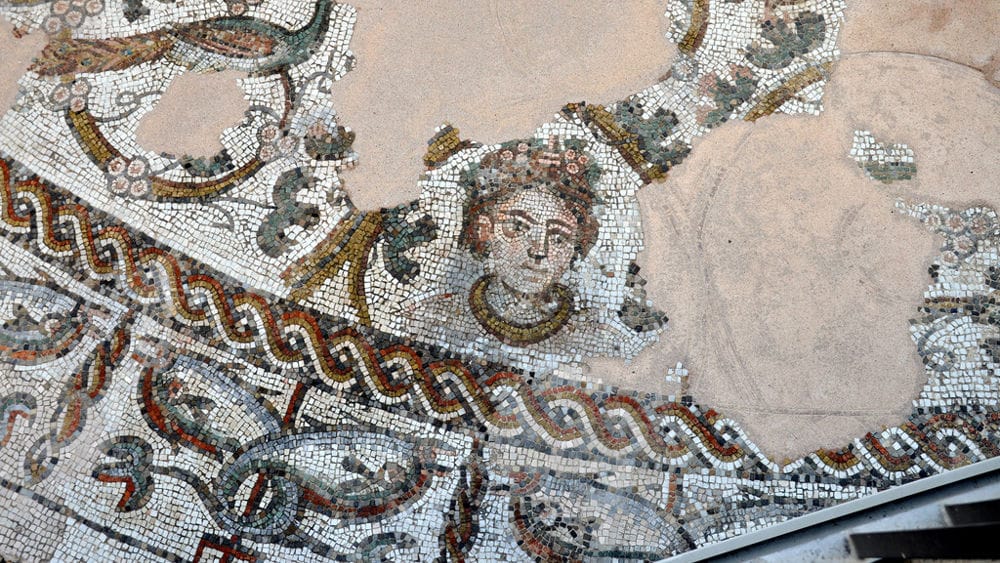 Mosaico paleocristiano- particolare