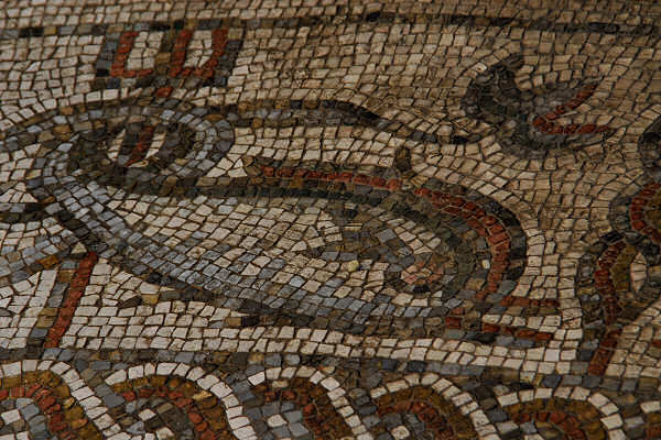 Mosaico paleocristiano- particolare