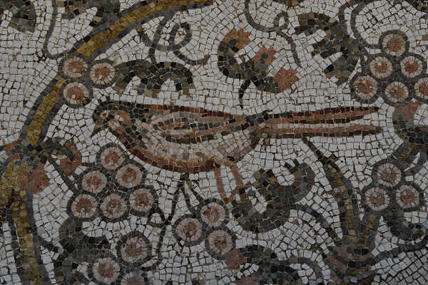 Mosaico paleocristiano- particolare