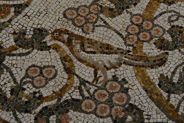 Mosaico paleocristiano- particolare
