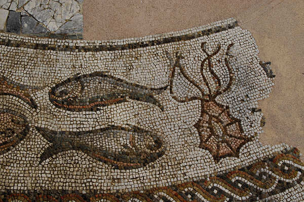 Mosaico paleocristiano- particolare