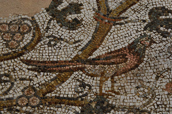 Mosaico paleocristiano- particolare