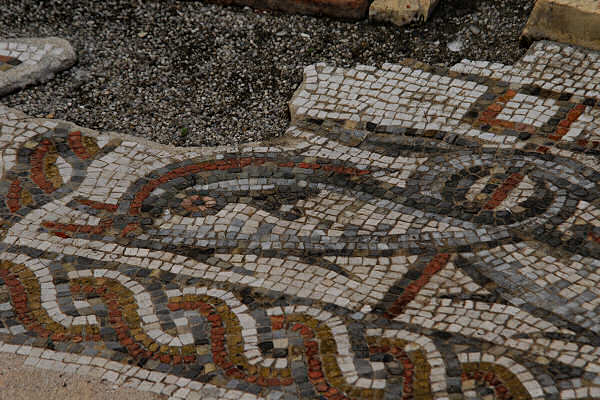 Mosaico paleocristiano- particolare